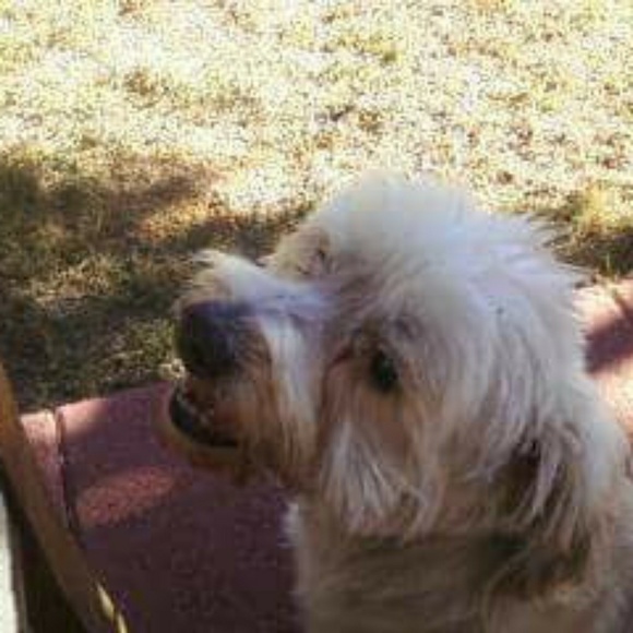 Meet your Posher, Retta - Picture 2 of 5